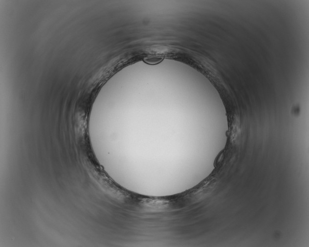 X0000115550476200911271438