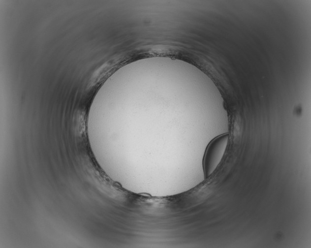 X0000115550478200911271438