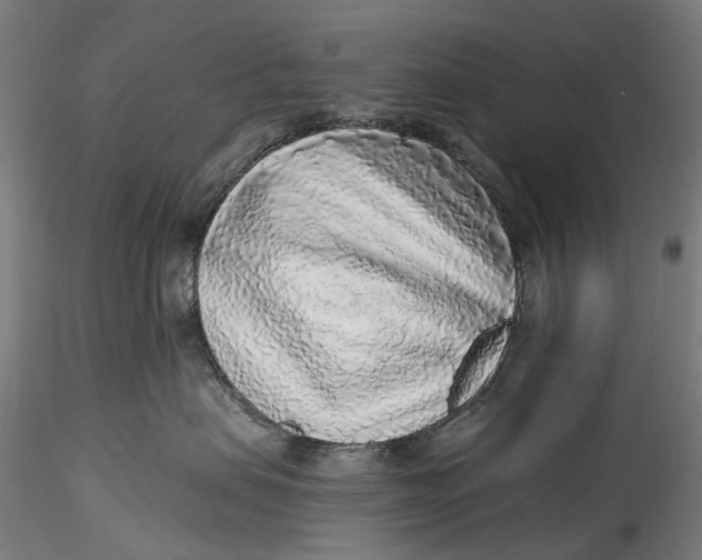 X0000115550479200911271438