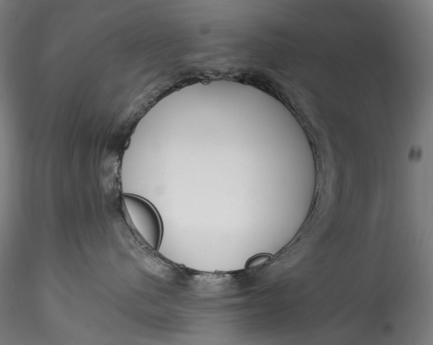 X0000115550480200911271438