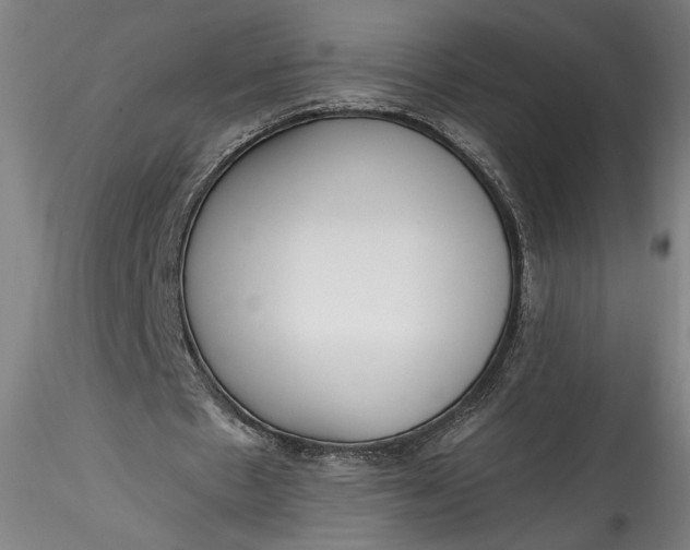 X0000115550481200911271437