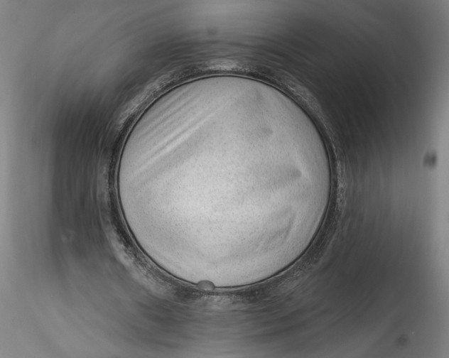 X0000115550482200911271437