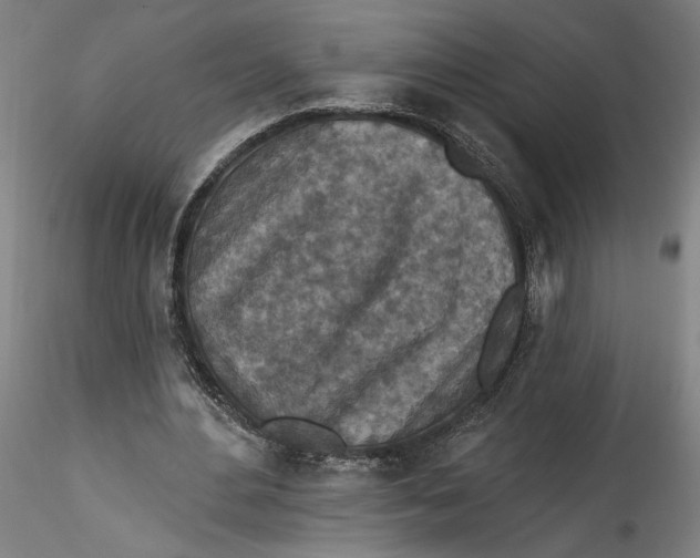 X0000115550484200911271437