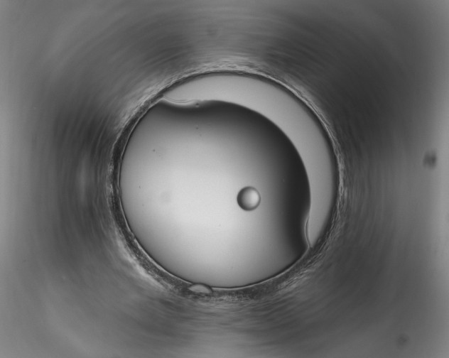 X0000115550485200911271437