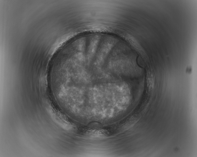 X0000115550488200911271437