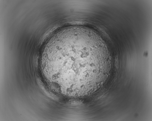 X0000115550491200911271437