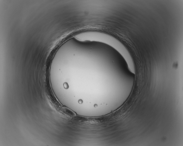 X0000115550492200911271437