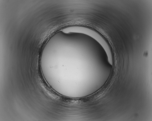 X0000115550493200911271437