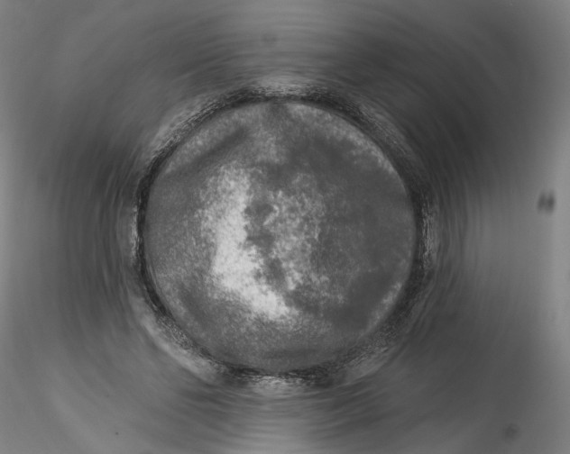 X0000115550494200911271437