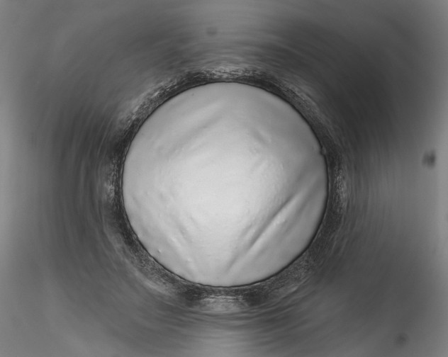 X0000115550499200911271437