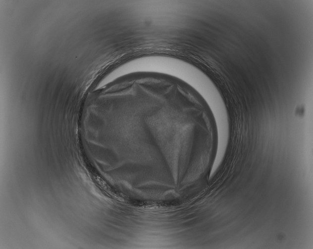 X0000115550500200911271437