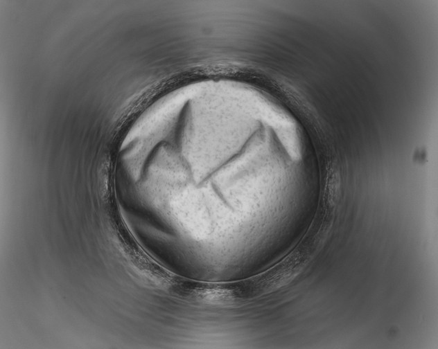 X0000115550501200911271437