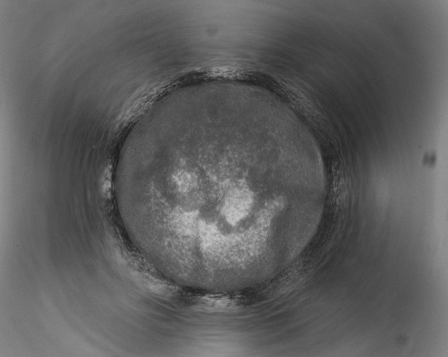 X0000115550502200911271437