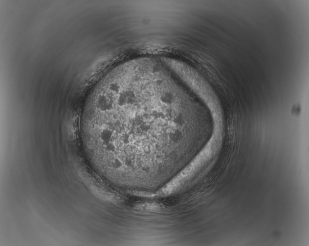 X0000115550503200911271437