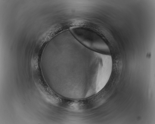 X0000115550504200911271437