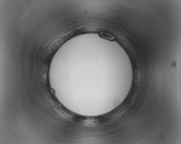 X0000115550505200911271437