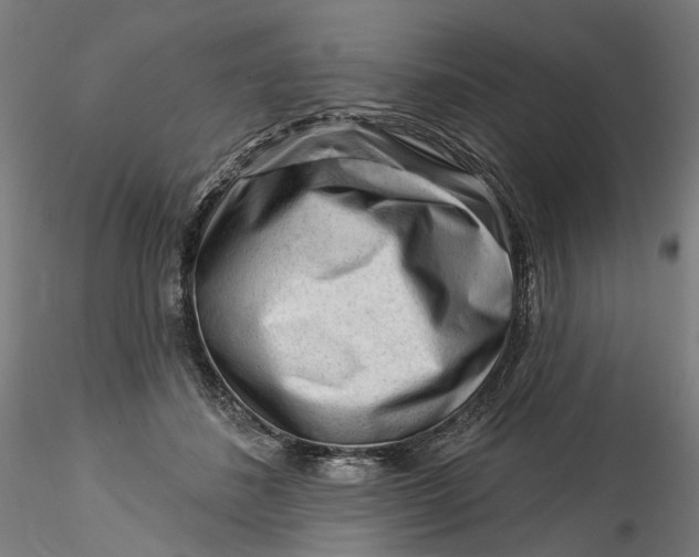 X0000115550508200911271437