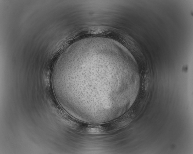 X0000115550510200911271436