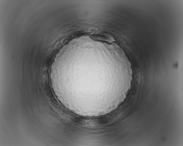 X0000115550511200911271436