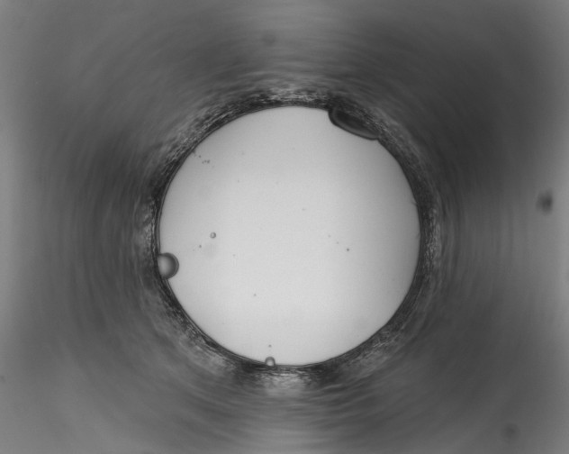 X0000115550513200911271436