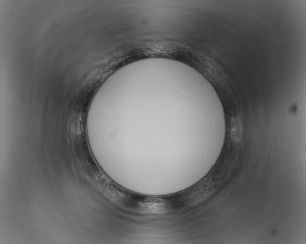 X0000115550514200911271436