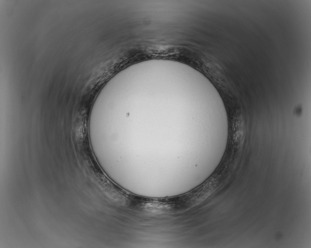 X0000115550515200911271436