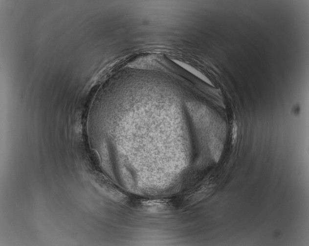 X0000115550516200911271436