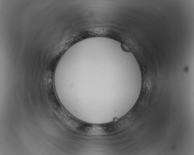 X0000115550518200911271436