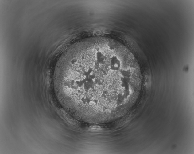 X0000115550519200911271436