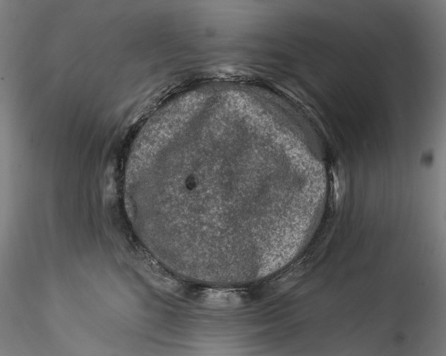 X0000115550520200911271436