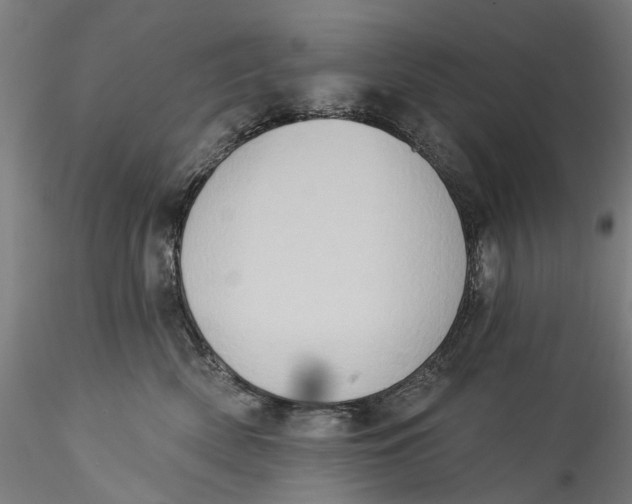 X0000115550522200911271436