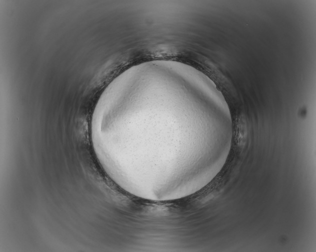 X0000115550523200911271436