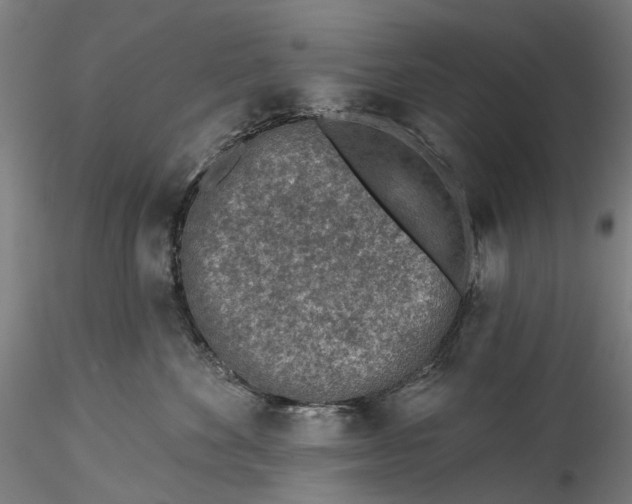 X0000115550524200911271436