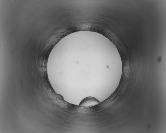 X0000115550525200911271436