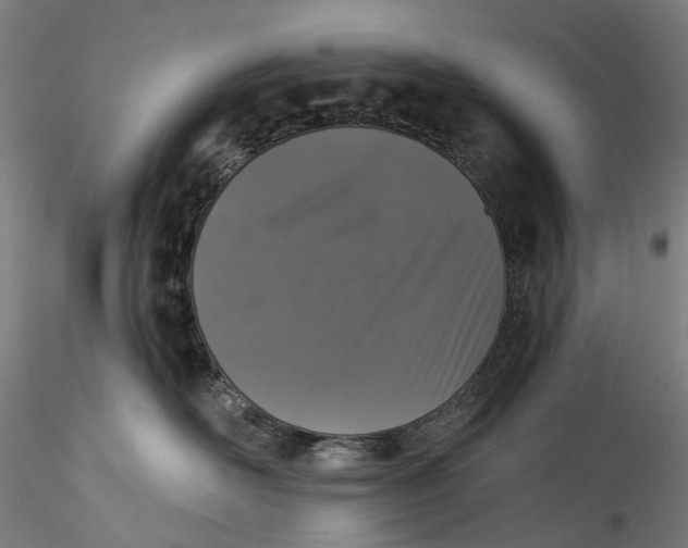 X0000115550526200911271436