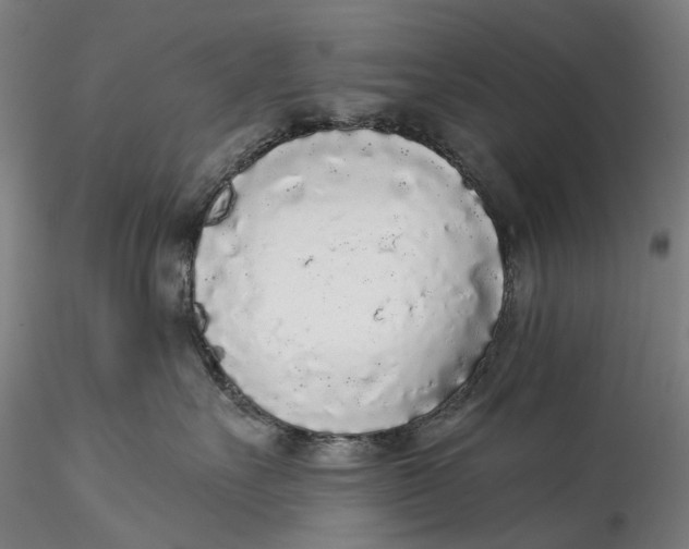 X0000115550527200911271436