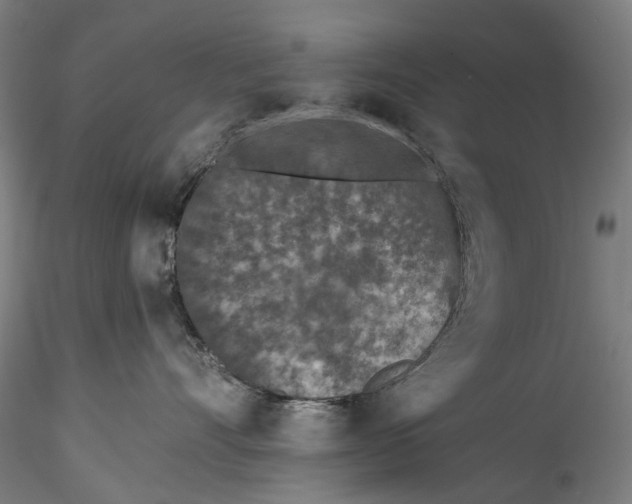 X0000115550528200911271436