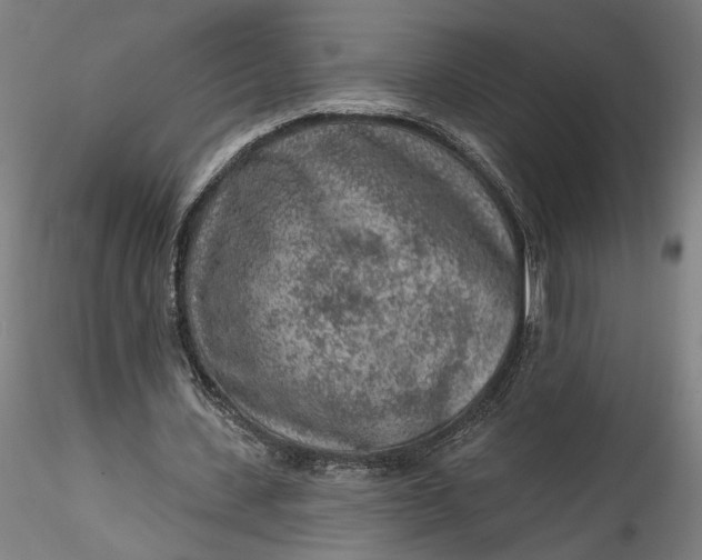 X0000115550531200911271436