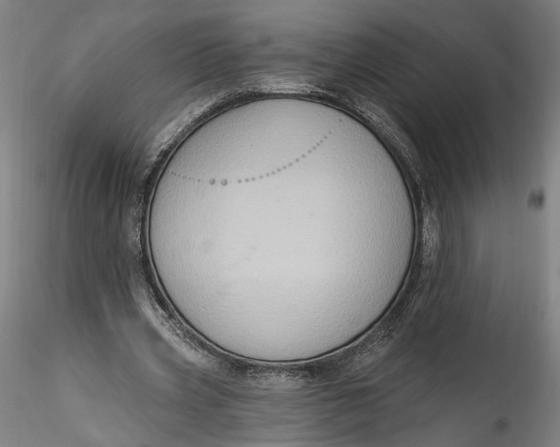 X0000115550533200911271436