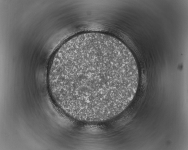 X0000115550534200911271436