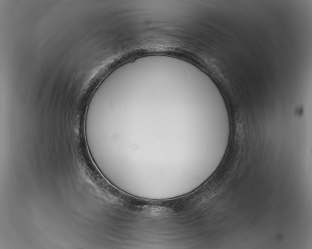 X0000115550539200911271436