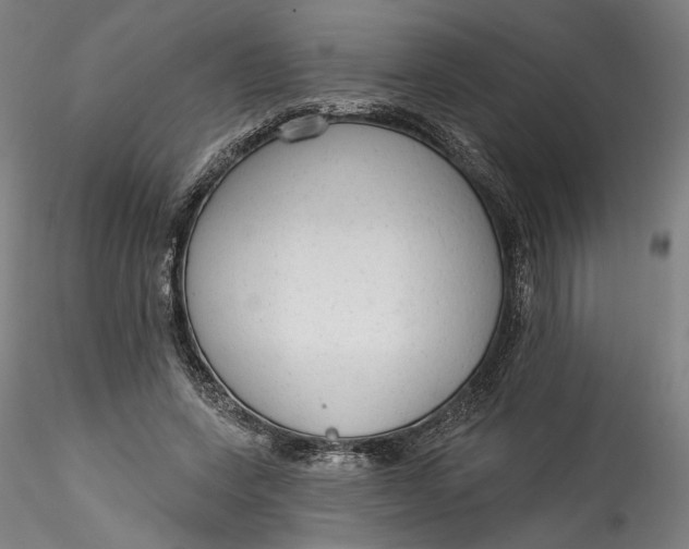 X0000115550543200911271436