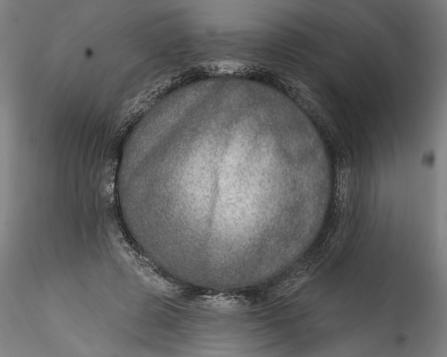 X0000115550545200911271436