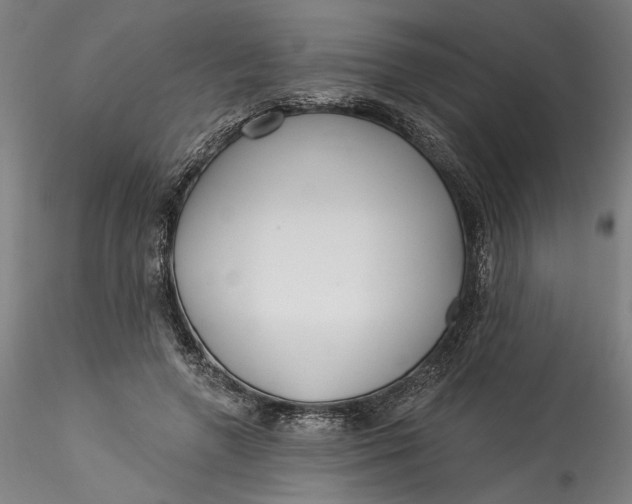 X0000115550546200911271436