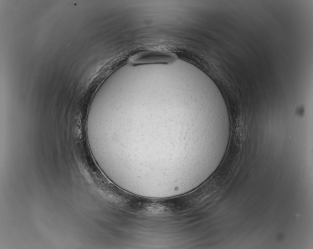 X0000115550547200911271436