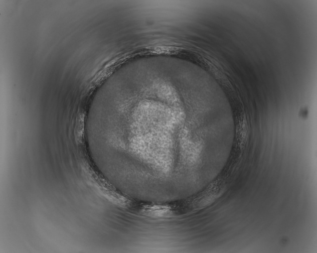 X0000115550554200911271436