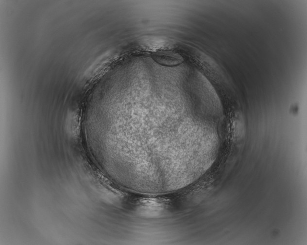 X0000115550558200911271436