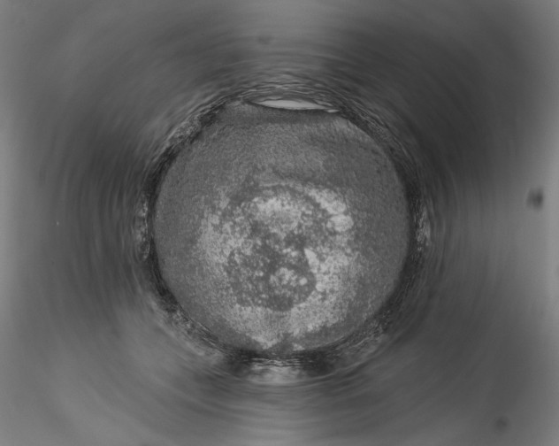 X0000115550559200911271436