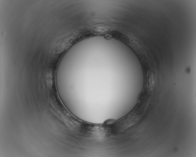 X0000115550562200911271436