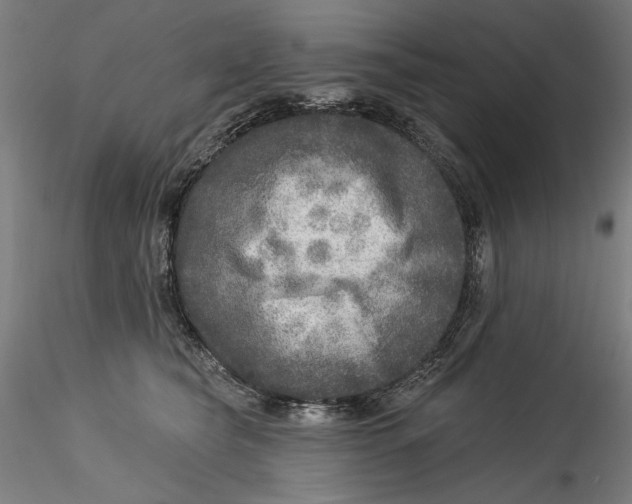 X0000115550565200911271436